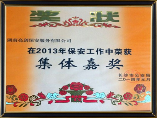 集体嘉奖2013年度